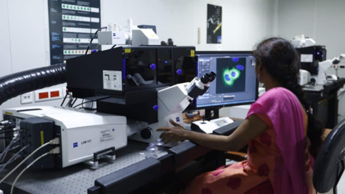 IIT Madras, Australian researchers develop nanoinjection platform for breast cancer treatment (Image: IIT Madras)